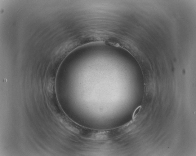 X0000063490078200601231422