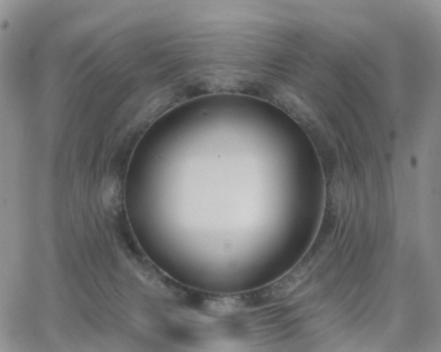 X0000063490079200601231423