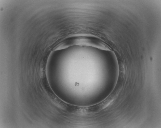 X0000063490080200601231423