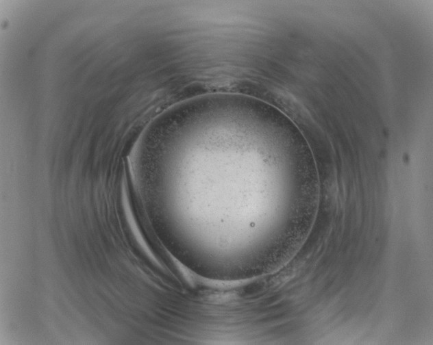 X0000063490081200601231423