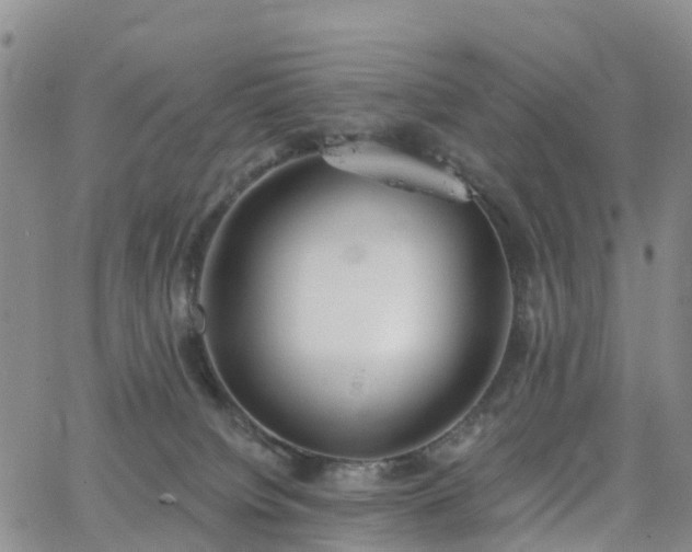 X0000063490084200601231423