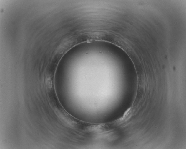 X0000063490086200601231423