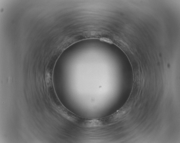 X0000063490087200601231423