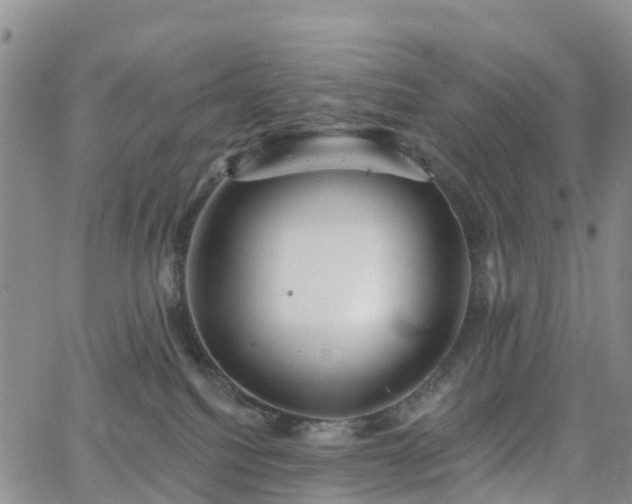 X0000063490088200601231423