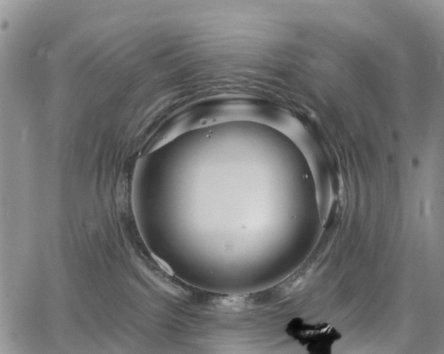 X0000063490092200601231423