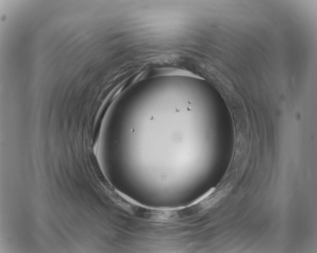 X0000063490096200601231423