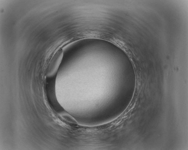 X0000063490097200601231422