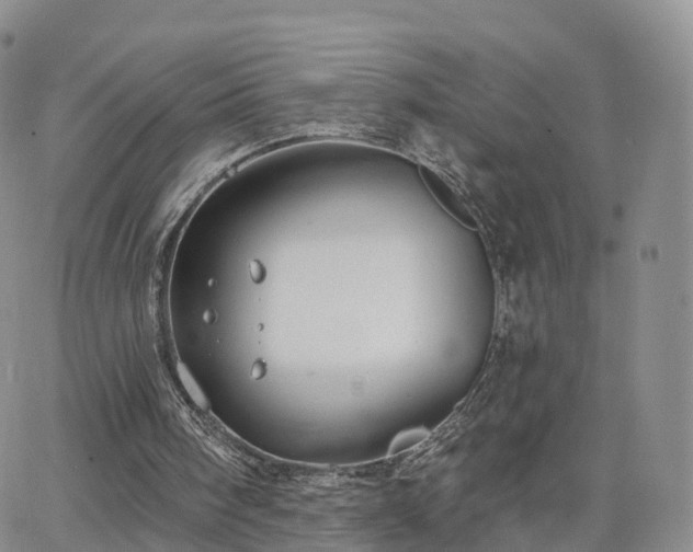 X0000063490098200601231422