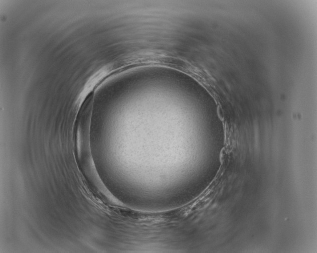 X0000063490099200601231422