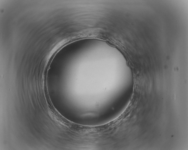 X0000063490100200601231422