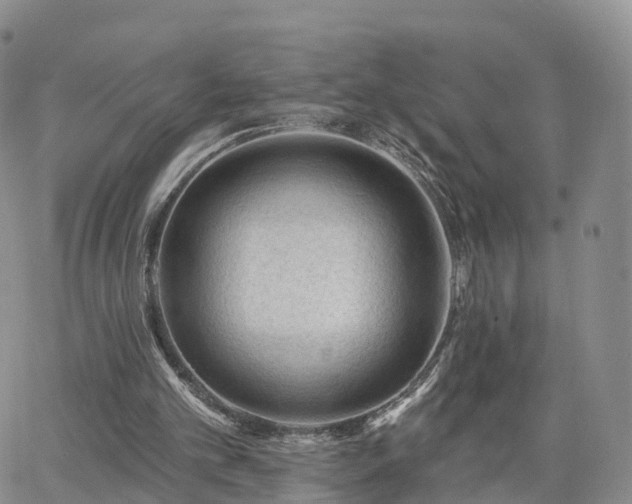 X0000063490101200601231422