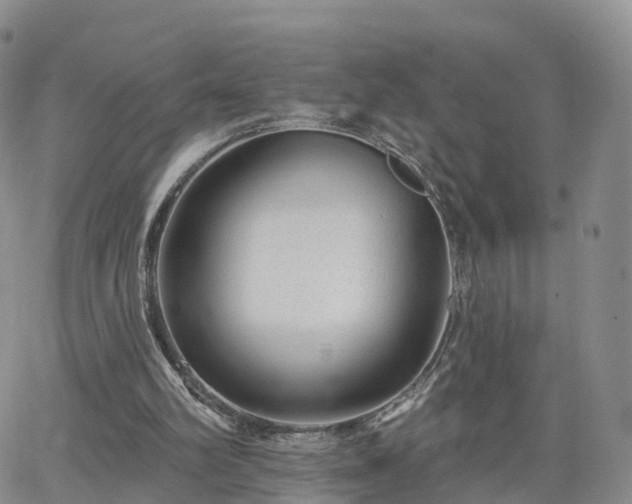 X0000063490102200601231422