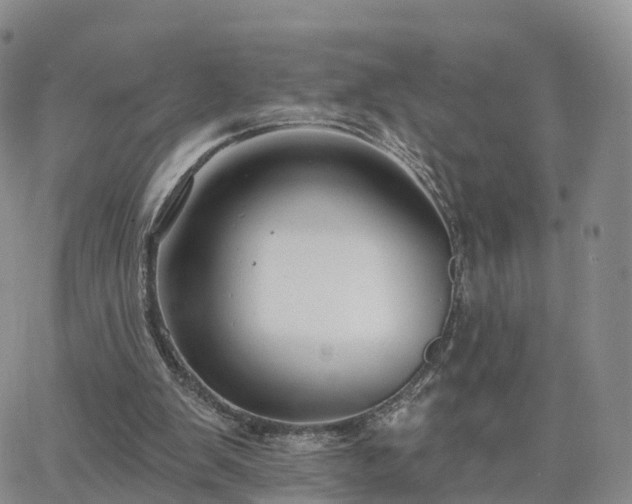 X0000063490103200601231422