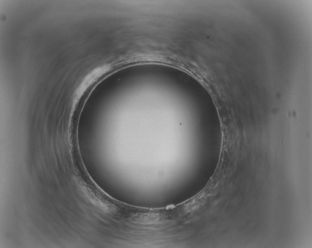 X0000063490104200601231422