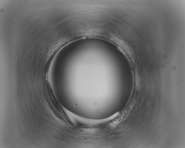 X0000063490105200601231422