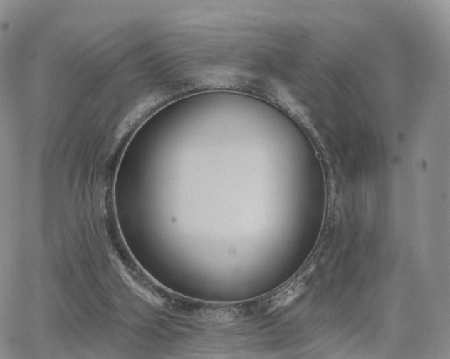 X0000063490106200601231422