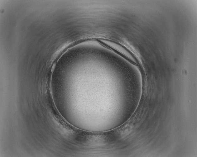 X0000063490107200601231422