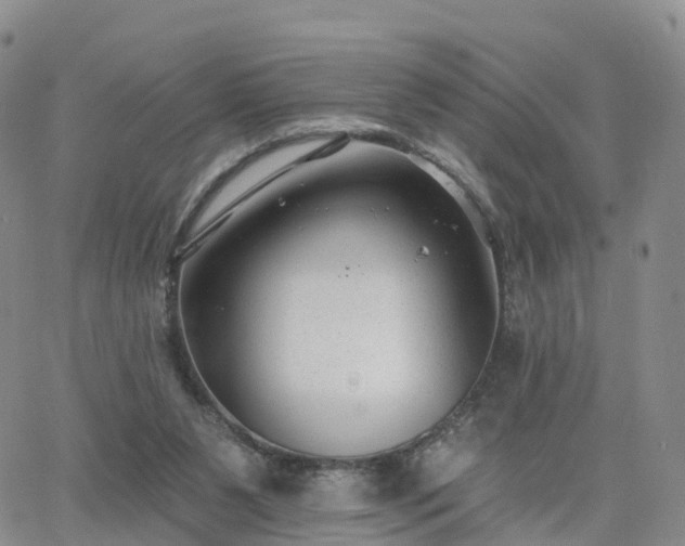 X0000063490111200601231422