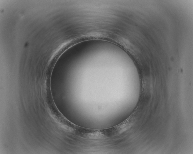 X0000063490112200601231422