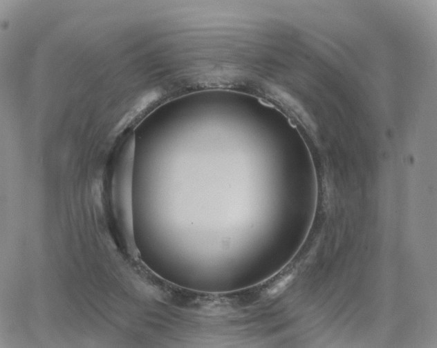 X0000063490113200601231422