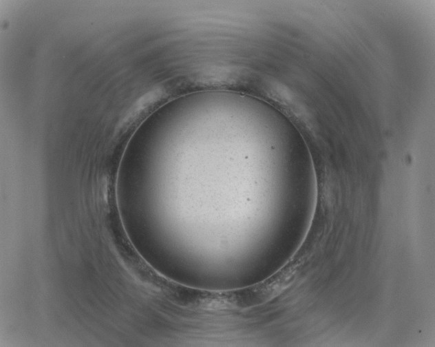 X0000063490115200601231422