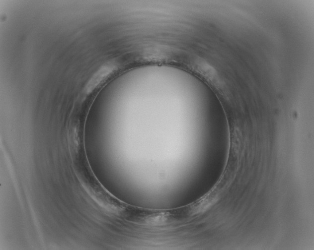 X0000063490116200601231422