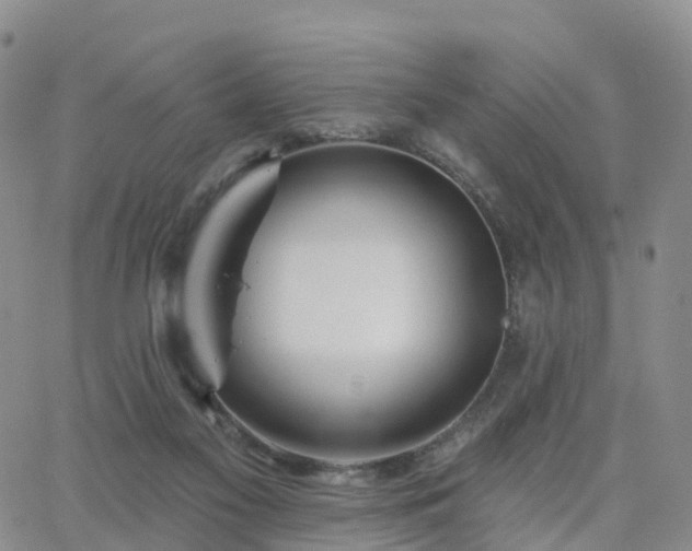 X0000063490117200601231422