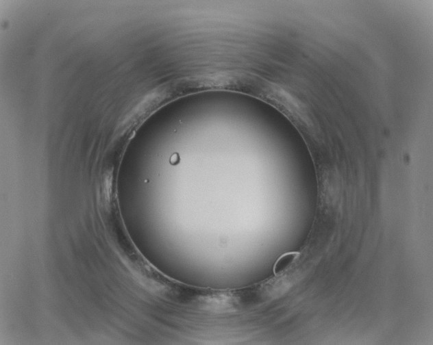 X0000063490118200601231422