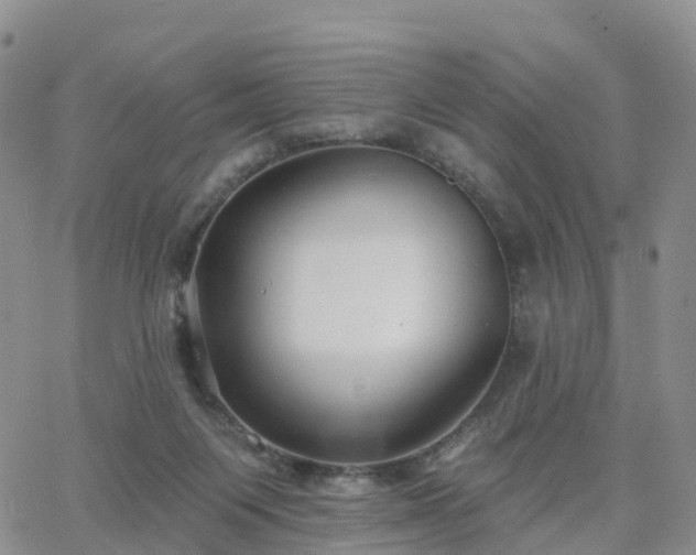 X0000063490119200601231422