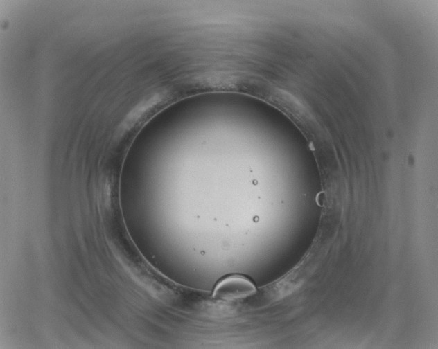 X0000063490120200601231422