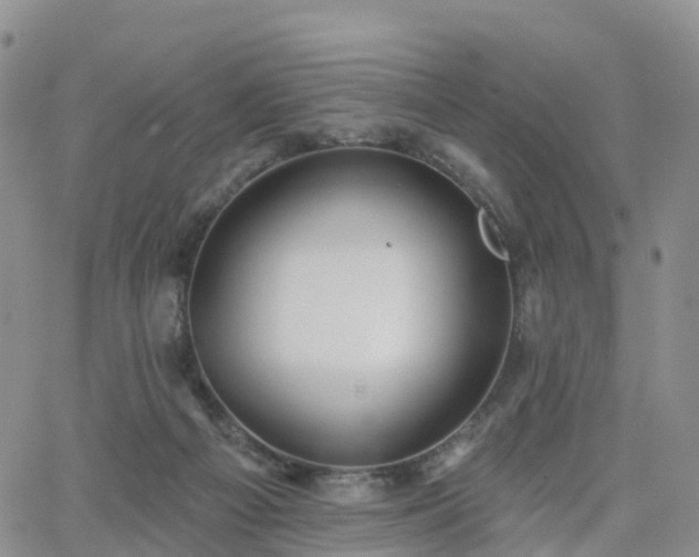 X0000063490121200601231422