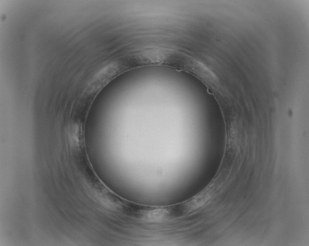 X0000063490122200601231422