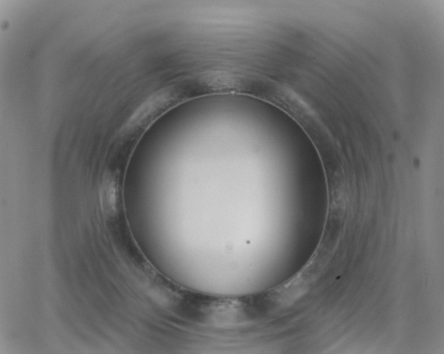 X0000063490124200601231422