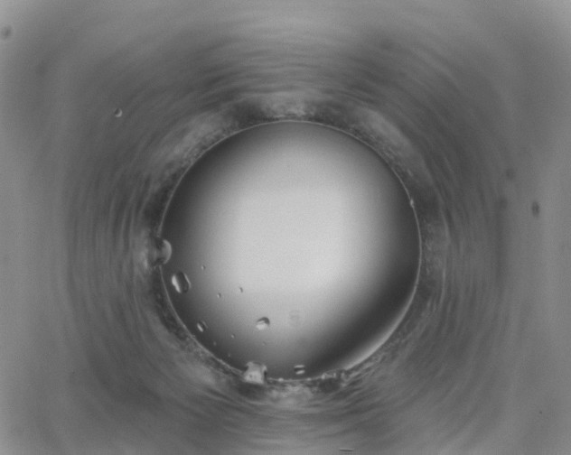 X0000063490125200601231422