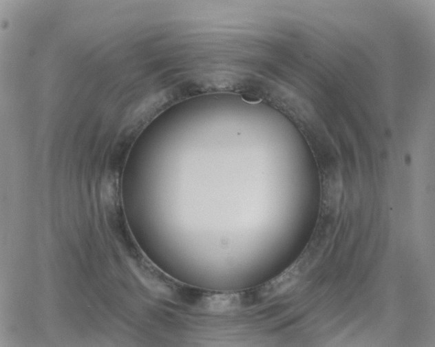 X0000063490126200601231422