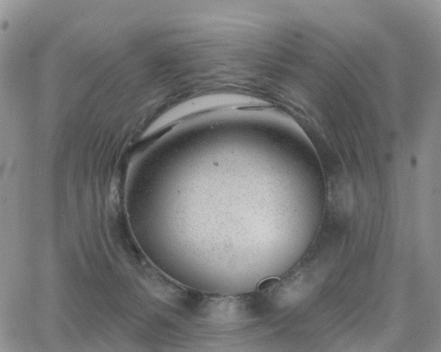 X0000063490127200601231422