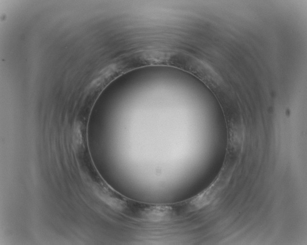 X0000063490128200601231422