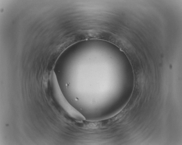 X0000063490129200601231421