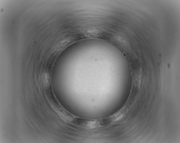 X0000063490130200601231421