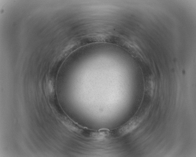 X0000063490131200601231421