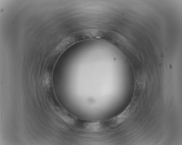 X0000063490132200601231421