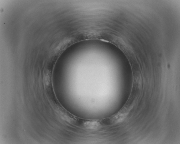 X0000063490133200601231421