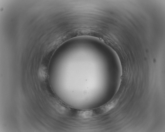 X0000063490135200601231421