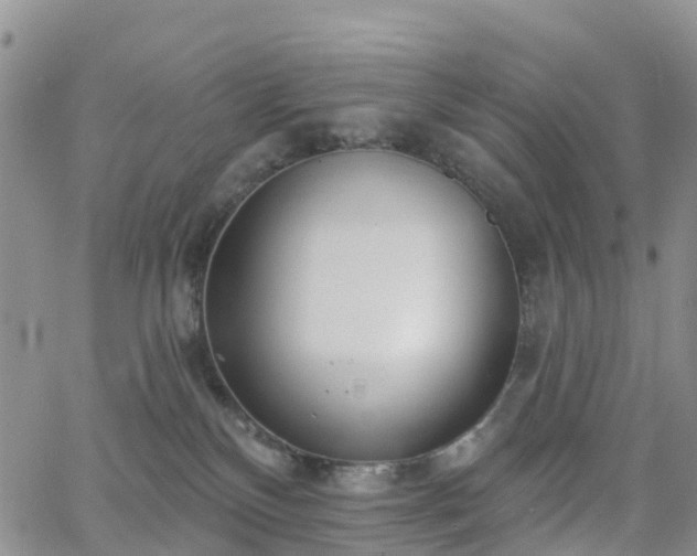 X0000063490136200601231421