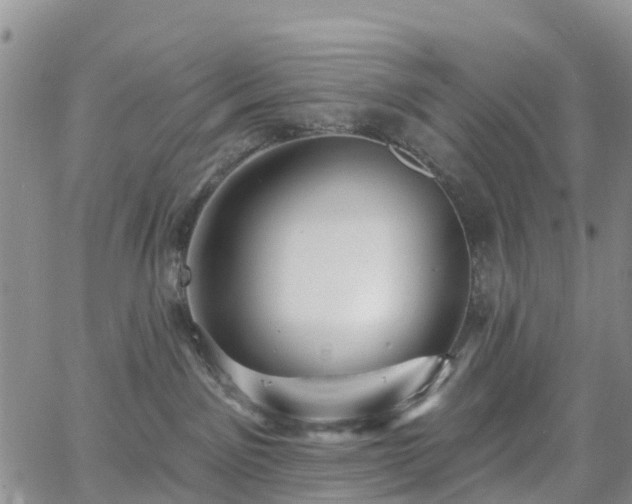 X0000063490141200601231421