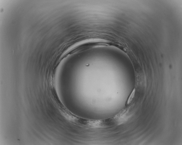 X0000063490143200601231421