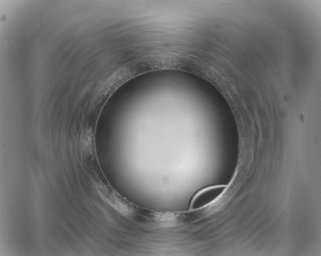 X0000063490144200601231421