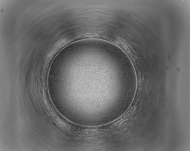 X0000063490145200601231420