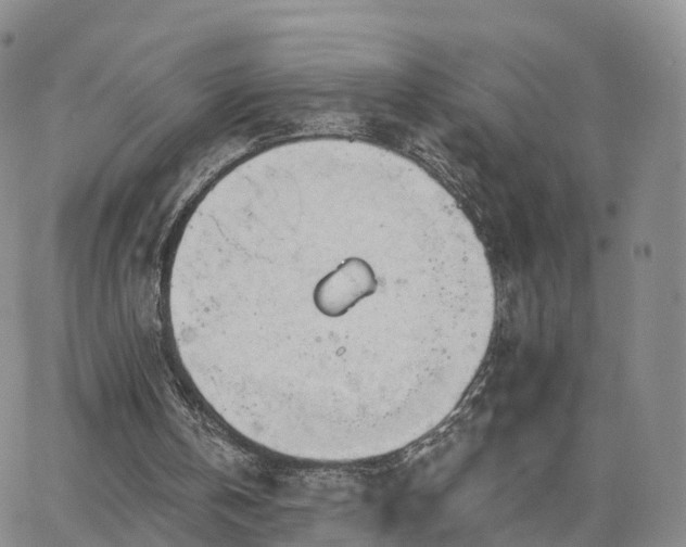 X0000063490146200601231420