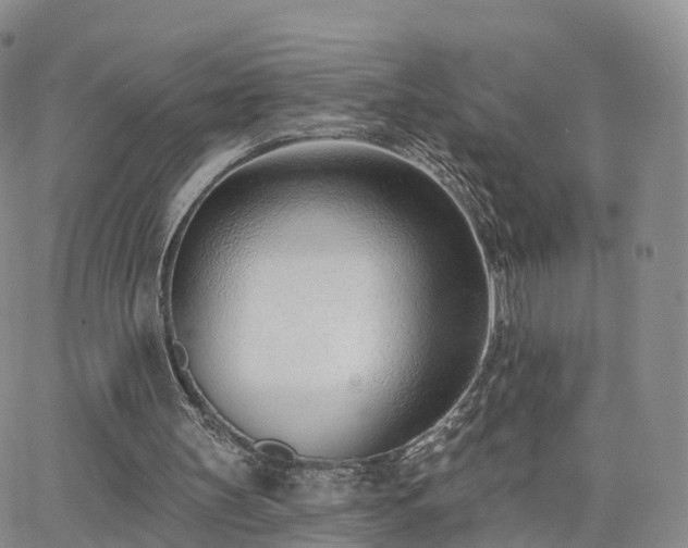 X0000063490147200601231420